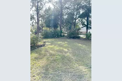 407 SE 4th Street, Williston, FL 32696 - Photo 20