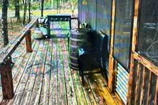 10424 SW 151st Pl, Dunnellon, FL 34432 - Photo 2