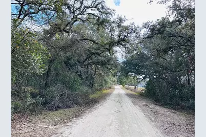 16151 NW 80th Court, Fanning Springs, FL 32693 - Photo 2