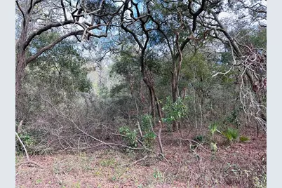 16151 NW 80th Court, Fanning Springs, FL 32693 - Photo 4