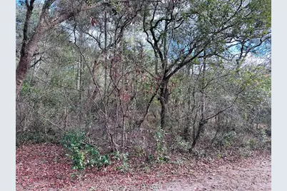 16151 NW 80th Court, Fanning Springs, FL 32693 - Photo 1