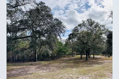 12468 SE Hwy 349, Old Town, FL 32680 - Photo 32