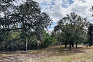 12468 SE Hwy 349, Old Town, FL 32680 - Photo 32