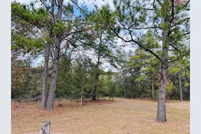 12468 SE Hwy 349, Old Town, FL 32680 - Photo 42