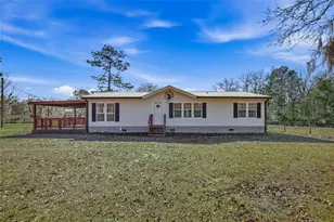 7119 NE 24th Loop, High Springs, FL 32643 - Photo 4