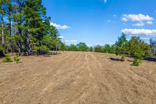 Tbd 99th Ave, Lake Butler, FL 32054 - Photo 1