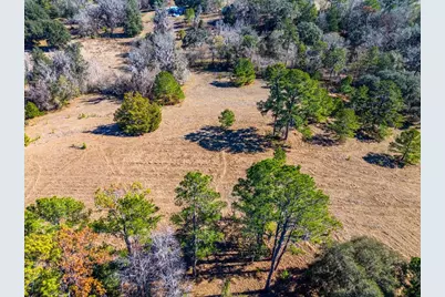 Tbd 99th Avenue, Lake Butler, FL 32054 - Photo 10