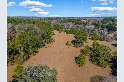 Tbd 99th Avenue, Lake Butler, FL 32054 - Photo 12