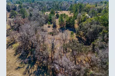 Tbd 99th Avenue, Lake Butler, FL 32054 - Photo 14