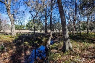 Tbd 99th Avenue, Lake Butler, FL 32054 - Photo 6