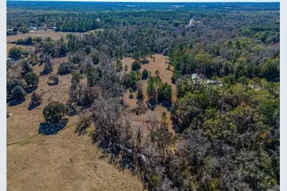 Tbd 99th Avenue, Lake Butler, FL 32054 - Photo 16