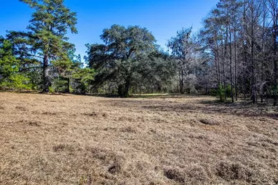 Tbd 99th Avenue, Lake Butler, FL 32054 - Photo 18