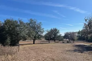 7880 NE 15th St, Trenton, FL 32693 - Photo 6