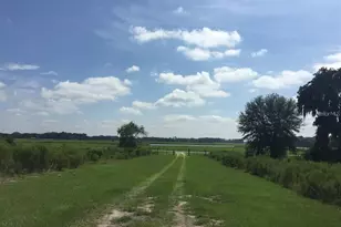 7880 NE 15th St, Trenton, FL 32693 - Photo 2