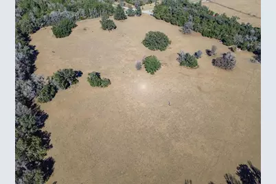 Tbd Hwy 329, Micanopy, FL 32667 - Photo 4