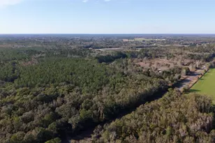 14403 NW 258 Pl, Alachua, FL 32615 - Photo 2