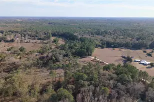 14403 NW 258 Pl, Alachua, FL 32615 - Photo 4