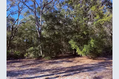 127 SE 930 Street, Old Town, FL 32680 - Photo 68