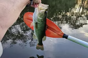 127 SE 930th St, Old Town, FL 32680 - Photo 48