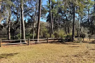 127 SE 930th St, Old Town, FL 32680 - Photo 62