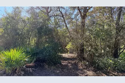 127 SE 930 Street, Old Town, FL 32680 - Photo 54