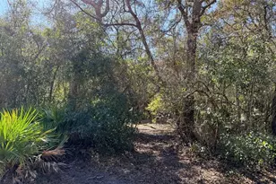 127 SE 930th St, Old Town, FL 32680 - Photo 54