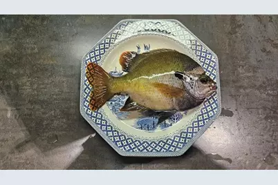 127 SE 930 Street, Old Town, FL 32680 - Photo 12