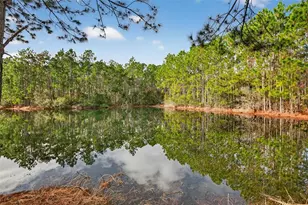 1004 Kilkenny Ln, Ormond Beach, FL 32174 - Photo 24