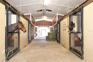 10720 NW 53rd Ter, Gainesville, FL 32653 - Photo 44