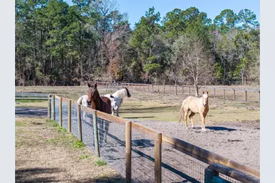 10720 NW 53rd Terrace, Gainesville, FL 32653 - Photo 80