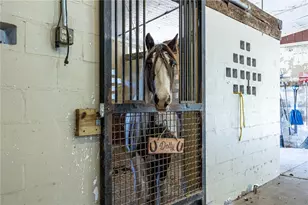 10720 NW 53rd Ter, Gainesville, FL 32653 - Photo 46