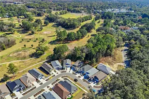 1005 NW 132nd Blvd, Newberry, FL 32669 - Photo 34