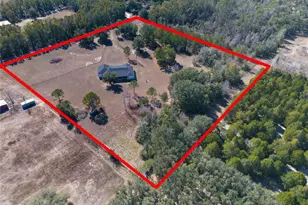 12456 155th Pl, Live Oak, FL 32060 - Photo 6