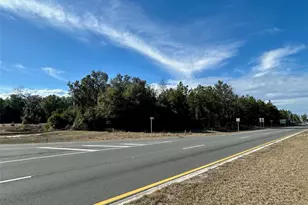 Tbd US Hwy 19 (N Young Blvd), Chiefland, FL 32626 - Photo 1