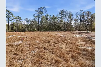 00 NE 78th Terrace, Bronson, FL 32621 - Photo 10