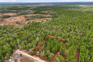 00 NE 111th Ln, Bronson, FL 32621 - Photo 1