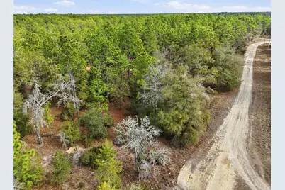 00 NE 111th Lane, Bronson, FL 32621 - Photo 8