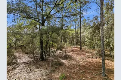 00 NE 111th Lane, Bronson, FL 32621 - Photo 10