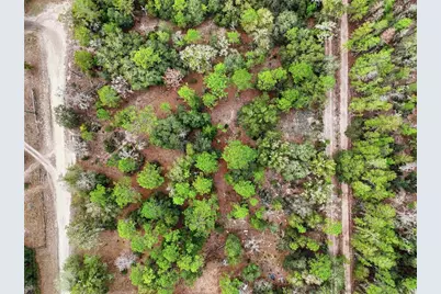 00 NE 111th Lane, Bronson, FL 32621 - Photo 6