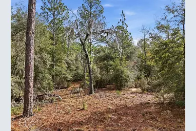 00 NE 111th Lane, Bronson, FL 32621 - Photo 12