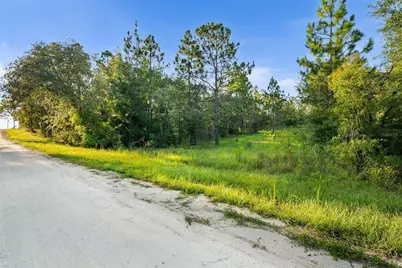Ne 00 Street, Williston, FL 32696 - Photo 6