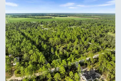 Ne 00 Street, Williston, FL 32696 - Photo 12