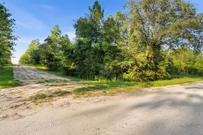 Ne 00 Street, Williston, FL 32696 - Photo 8