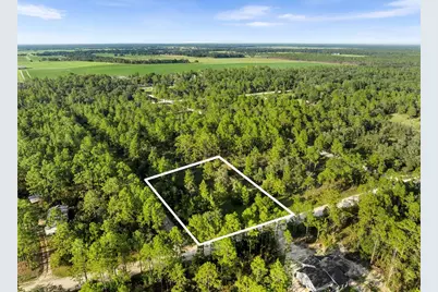 Ne 00 Street, Williston, FL 32696 - Photo 1