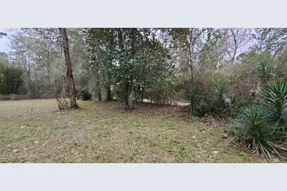 101 Myers Lane, Hawthorne, FL 32640 - Photo 4