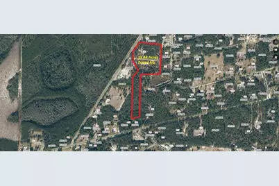 556 County Road 219, Melrose, FL 32666 - Photo 2