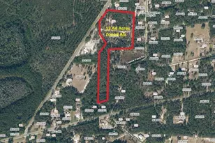 556 County Rd 219, Melrose, FL 32666 - Photo 2