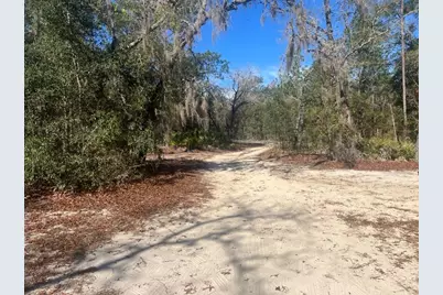 556 County Road 219, Melrose, FL 32666 - Photo 20