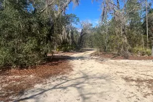 556 County Rd 219, Melrose, FL 32666 - Photo 20