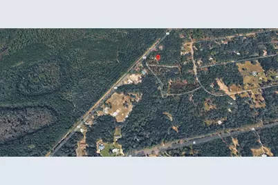 556 County Road 219, Melrose, FL 32666 - Photo 24